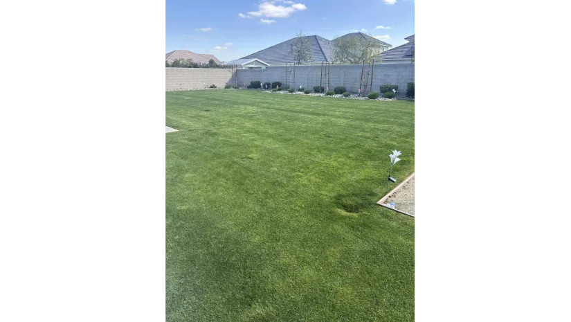 WA Lawn care