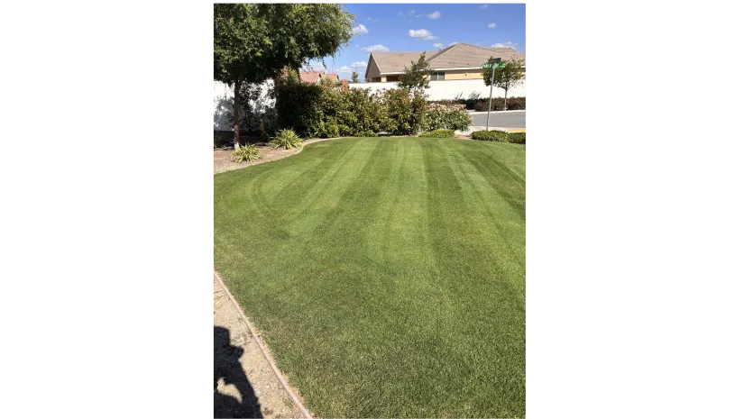WA Lawn care