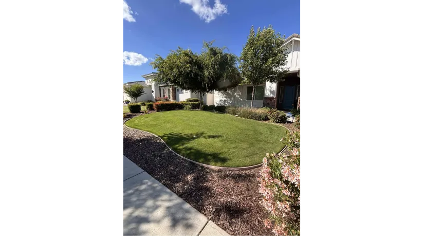 WA Lawn care