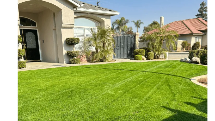WA Lawn care
