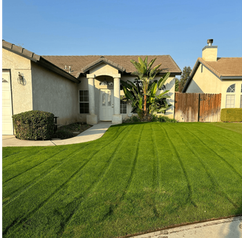 WA Lawn care