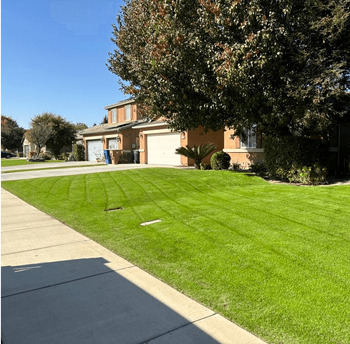 WA Lawn care