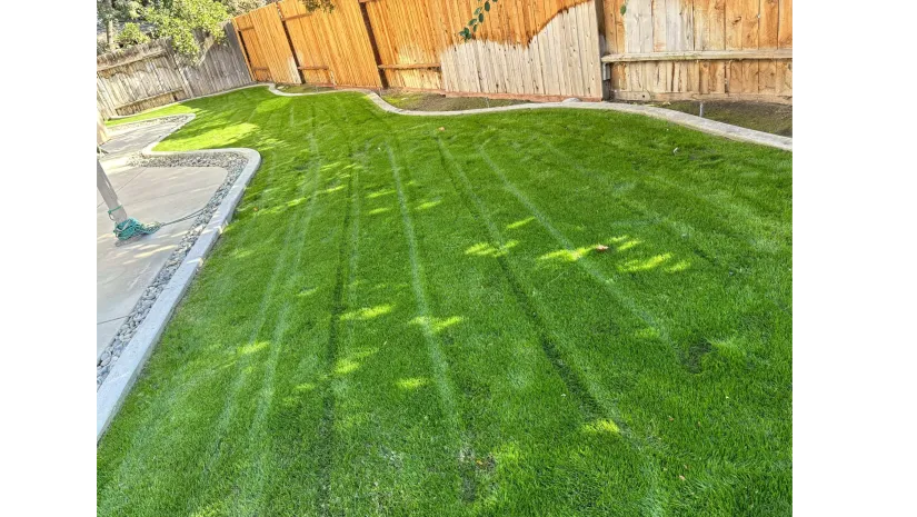 WA Lawn care