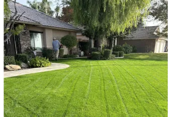 WA Lawn care