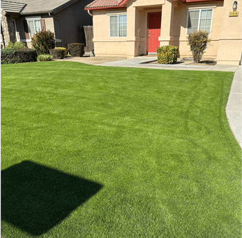 WA Lawn care