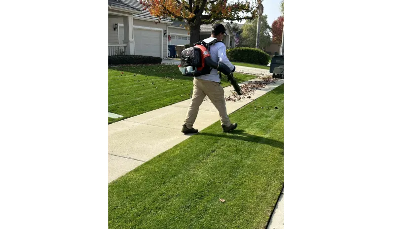 WA Lawn care