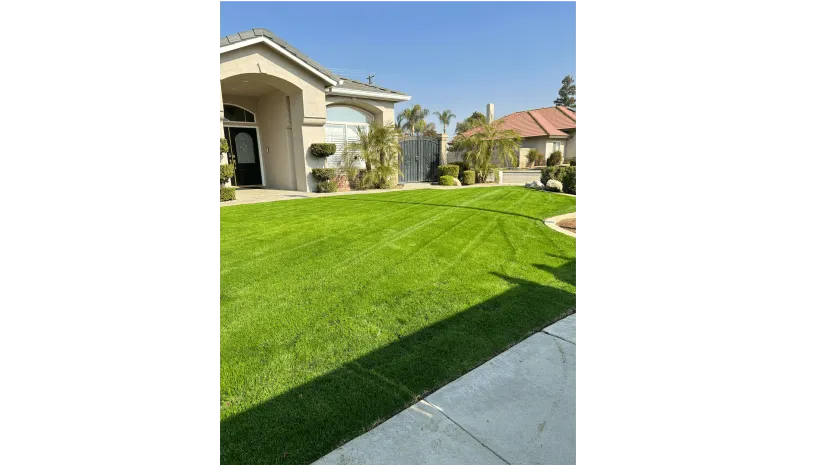 WA Lawn care