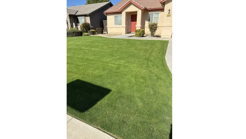 WA Lawn care