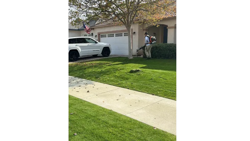 WA Lawn care