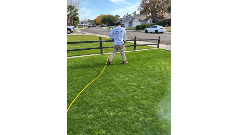 WA Lawn care