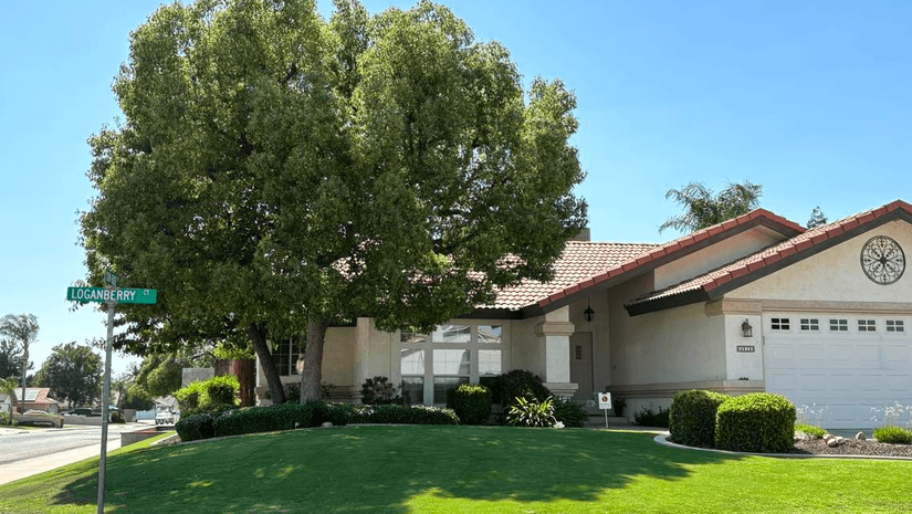 WA Lawn care