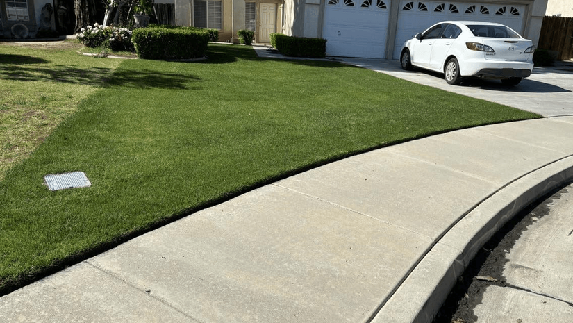 WA Lawn care
