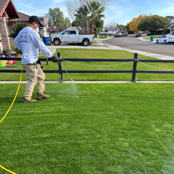 WA Lawn care