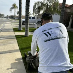 WA Lawn care