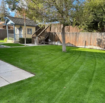 WA Lawn care