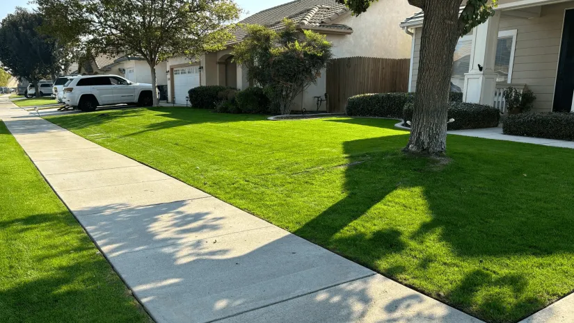 WA Lawn care