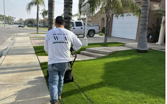 WA Lawn care
