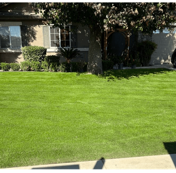 WA Lawn care