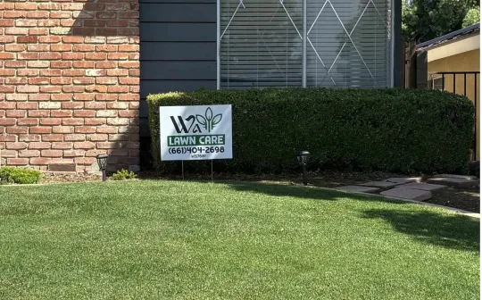 WA Lawn care