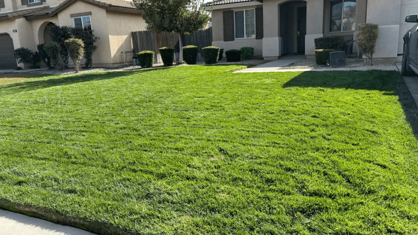 WA Lawn care